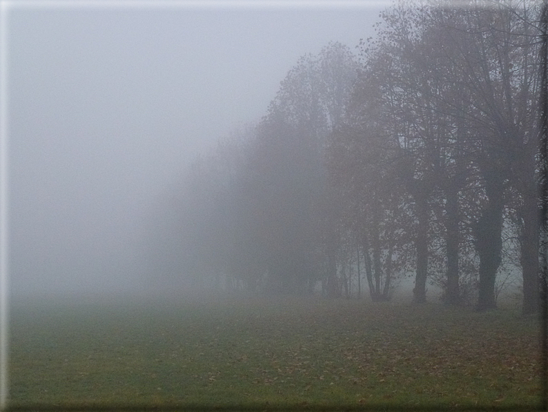foto Pedemontana Veneta nella nebbia